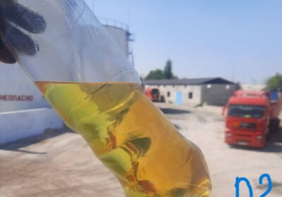 photo_یی2024-12-29_14-56-31